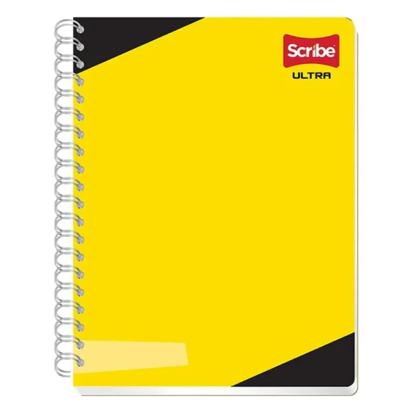 Cuaderno Profesional Rayado 100 hojas
